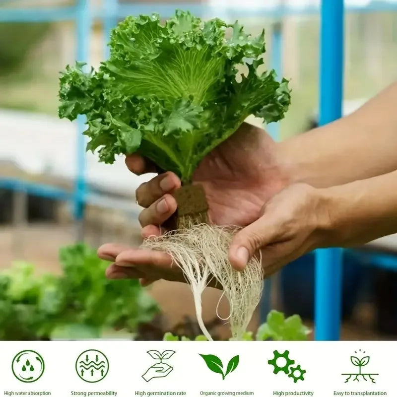 Green Seed Start Cubes For Hydroponics And Soilless Growth