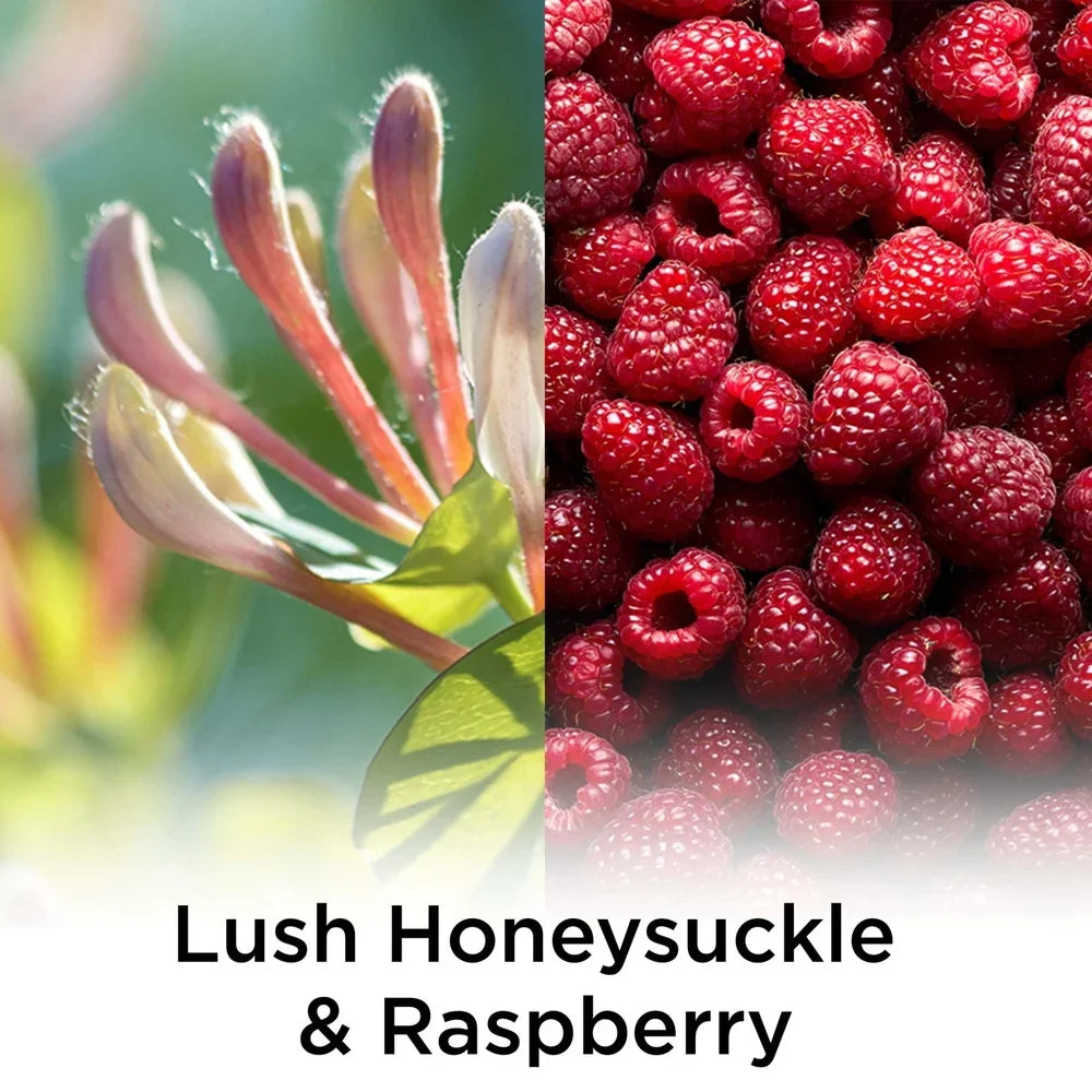 Plug In Scented Oil Refill 5 Count Honeysuckle Raspberry Essential Oils Air Freshener Long Lasting Home Fragrance Diffuser