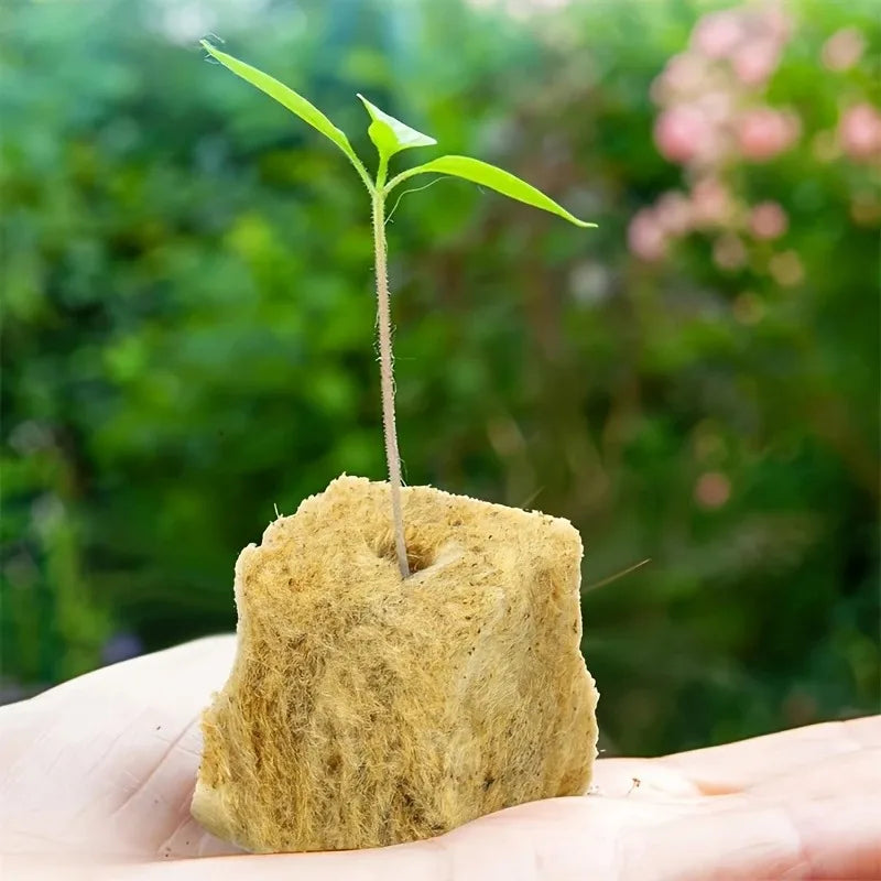 Green Seed Start Cubes For Hydroponics And Soilless Growth