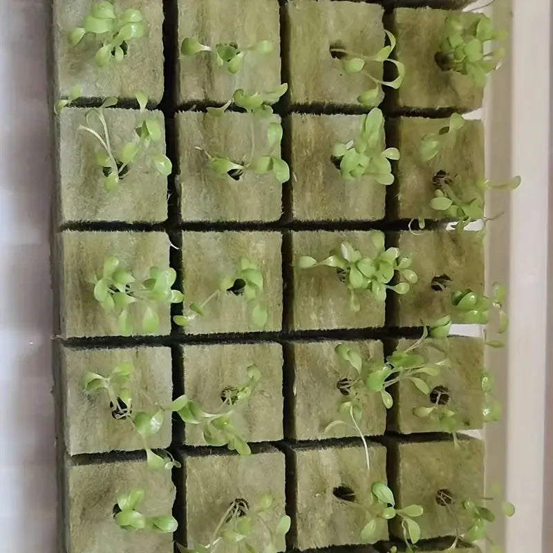 Green Seed Start Cubes For Hydroponics And Soilless Growth