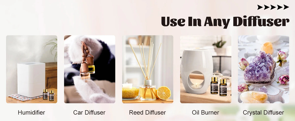 Mayjam Fragrance Oil Set 20 Bottles For Diffuser Candle Making