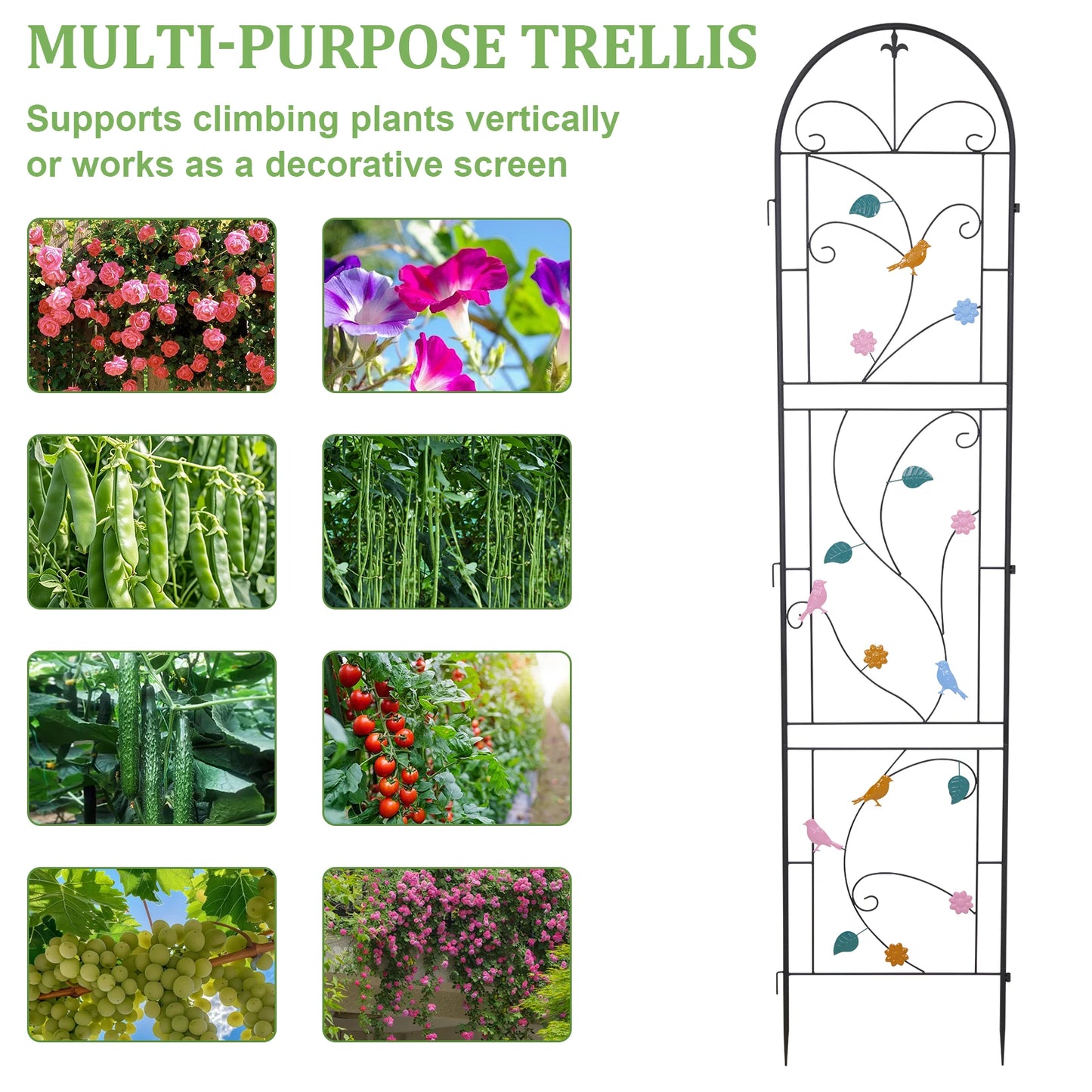 Iron Garden Trellis 2 Pack Outdoor Plant Fence Support