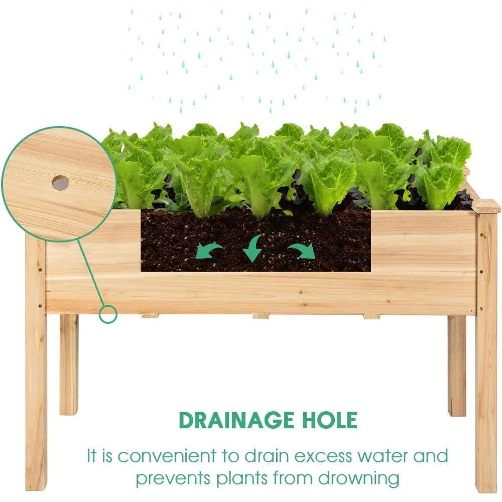 Raised Garden Bed With Greenhouse Cover For Backyard