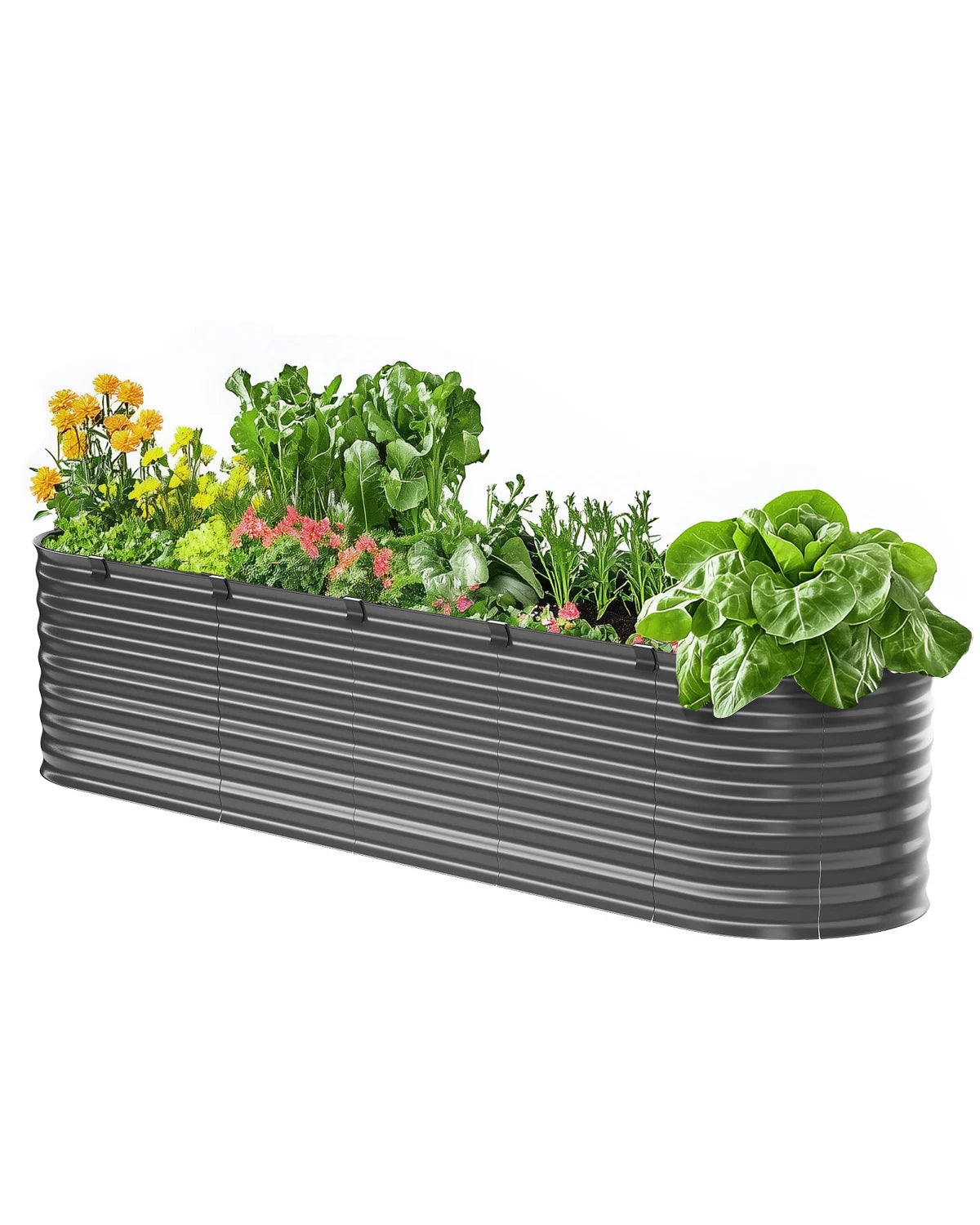 Metal Raised Garden Bed Galvanized Planter Box Open Bottom Oval