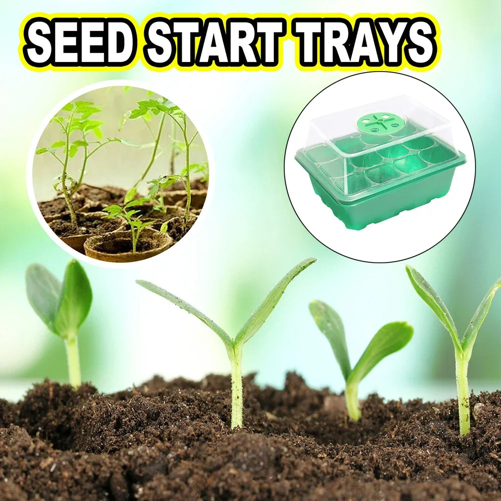 Seed Starter Tray 12 Grids With Ventilation Holes Humidity Dome Mini Greenhouse For Home Gardeners
